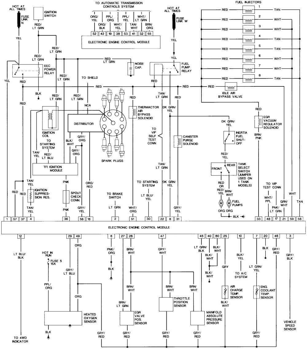 1989 Ford F800 Wiring Diagram - Wiring Diagram