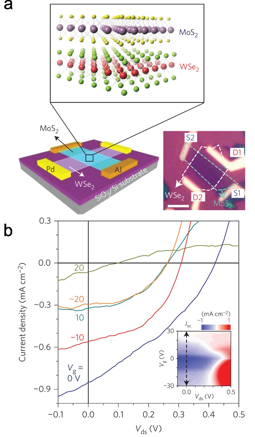 a Device schematic Top schematic representation of the single layers posing the