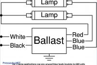 2 Lamp Ballast Wiring Diagram Awesome Lamp Wiring Diagram Blurts