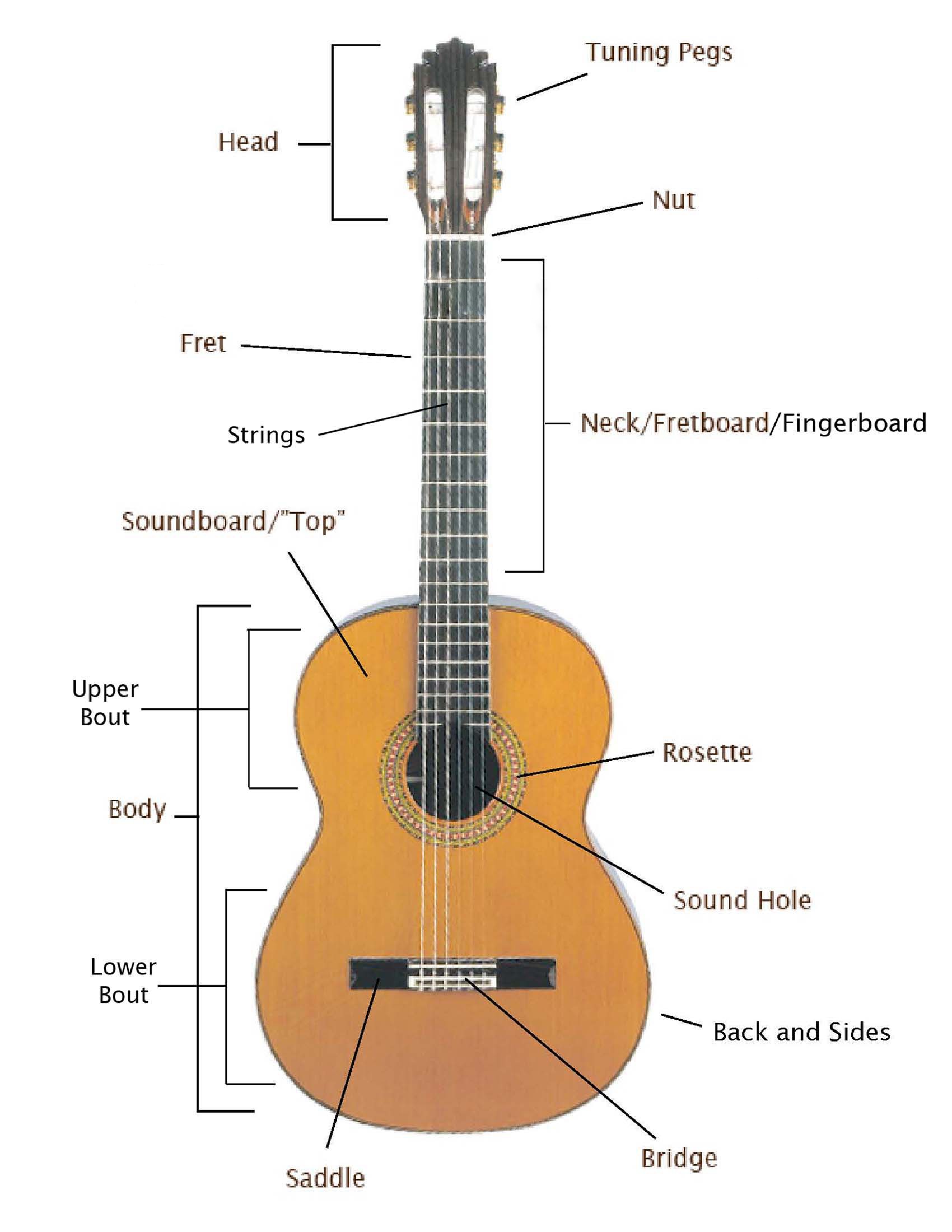 Blog 3 Basic Knowledge of Guitar The Definitions of Guitar Parts