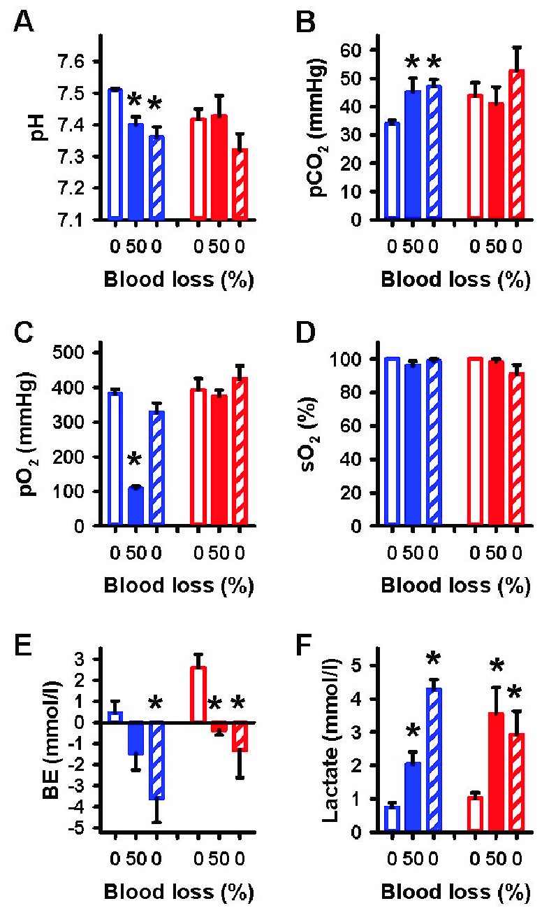 Effects of blood loss and reperfusion on arterial blood gases and lactate Values