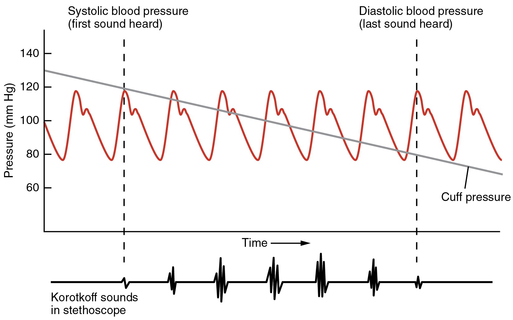 This image shows blood pressure as a function of time