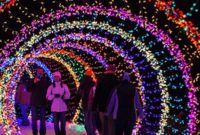 Rainbow Lights Nationwide New 15 Best Ohio for the Holidays Images On Pinterest