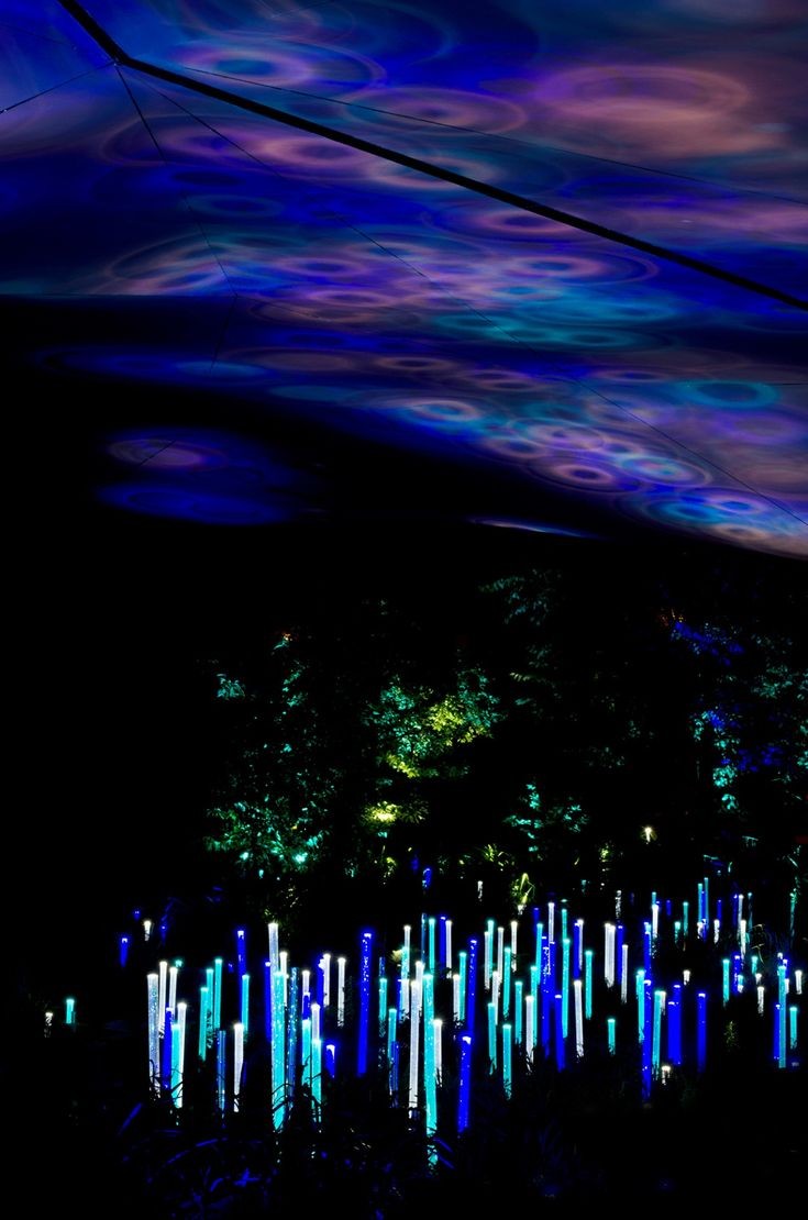 Mise en lumi¨re des jardins du Musée du quai Branly Un lac de lumi¨re anime