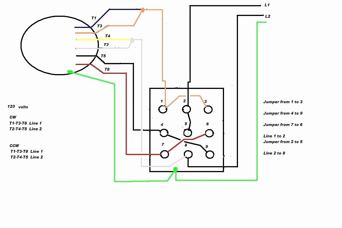 century ac motor wiring diagram wiring diagram rh gregmadison co