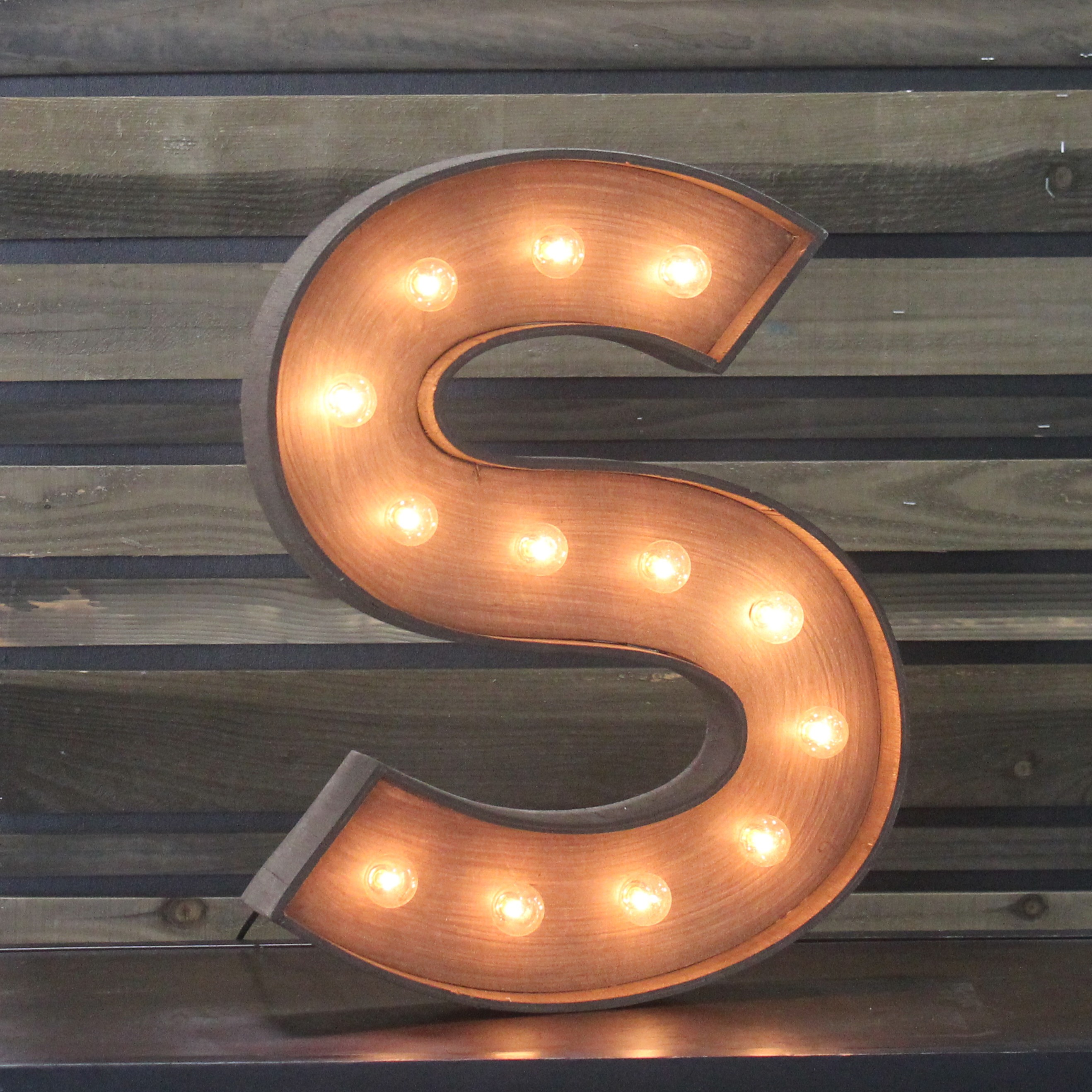 Edison Marquee Letter "S"
