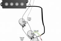 P Bass Wiring Diagram New Fender Bass Wiring Wiring Diagram