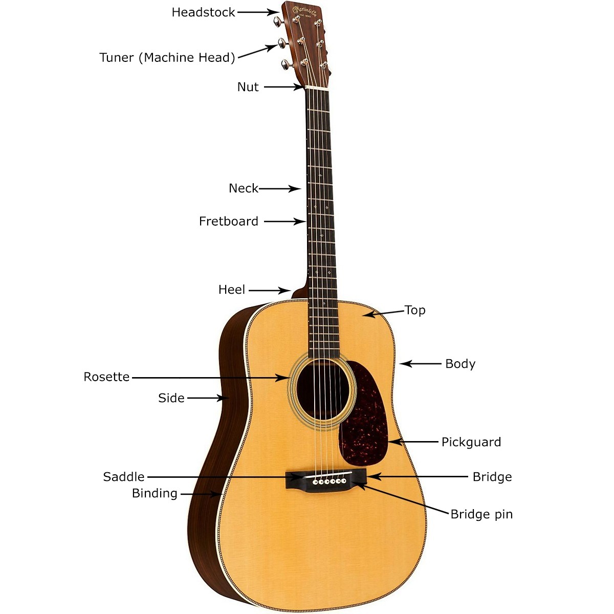 acoustic guitar parts diagram Acoustic Guitar Anatomy and Parts