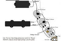 Pj Bass Wiring Diagram Inspirational Fender Precision Bass Wiring Diagram New
