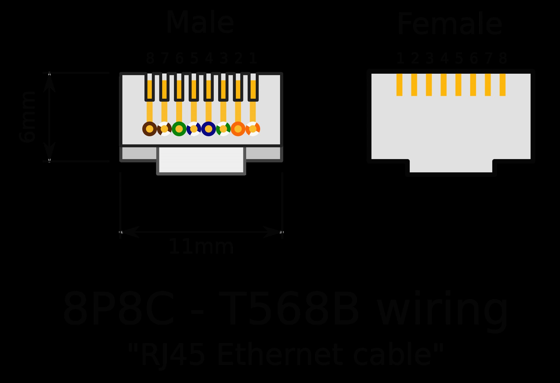 Wiring Diagram Cat6 T568b Jack Scheme Schematic Ethernet 568b
