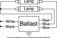 400 Watt Hps Ballast Wiring Diagram Unique 2 Lamp Electronic Ballast Wiring Diagram Anything Wiring Diagrams •