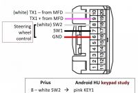 Aswc 1 Wiring Diagram Best Of Axxess Steering Wheel Control Interface Wiring Diagram Download