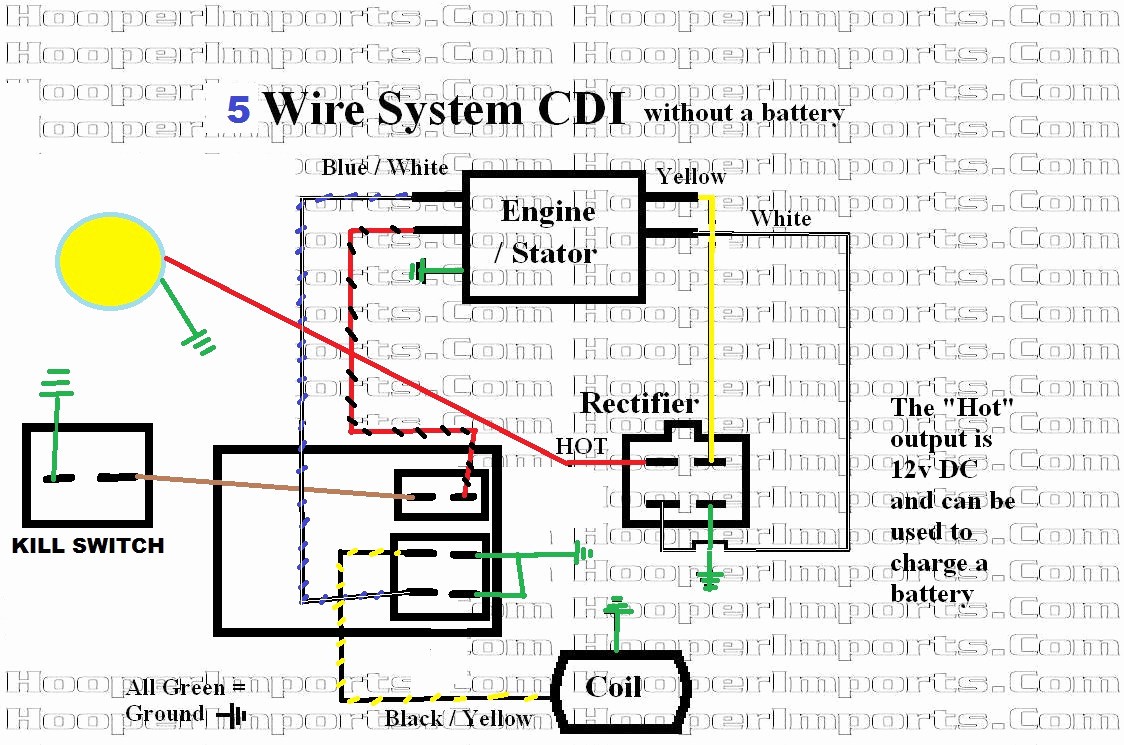 6 Pin Cdi Wiring Diagram Unique Stunning 20cc Chinese The Best