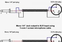 Xlr to Mono Jack Wiring Diagram Best Of Wiring Diagram Xlr to Jack Free Download Wiring Diagram