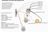 Blender Schematic Inspirational Stratocaster Blender Wiring Diagram