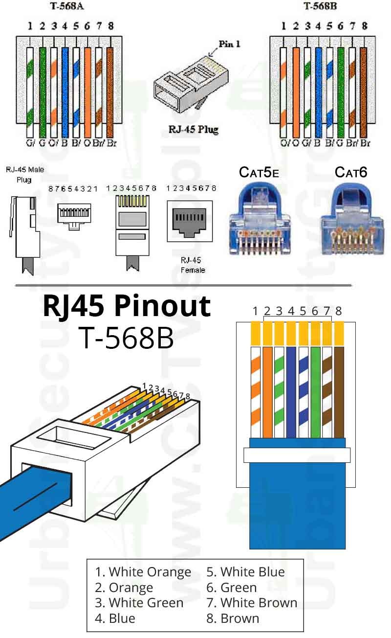 Cat Wiring Diagram Cable Connector Cat6 Wire Order Cat5e To With 6
