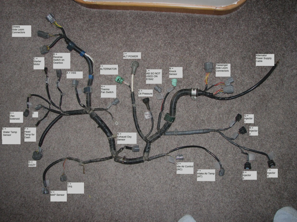 25 gallery vtec wiring diagram 92 00 honda engine swap guide vtec rh wiringdiagramcircuit org 1999 Honda Accord ECU Pin Wiring Diagram Bosch Relay Wiring