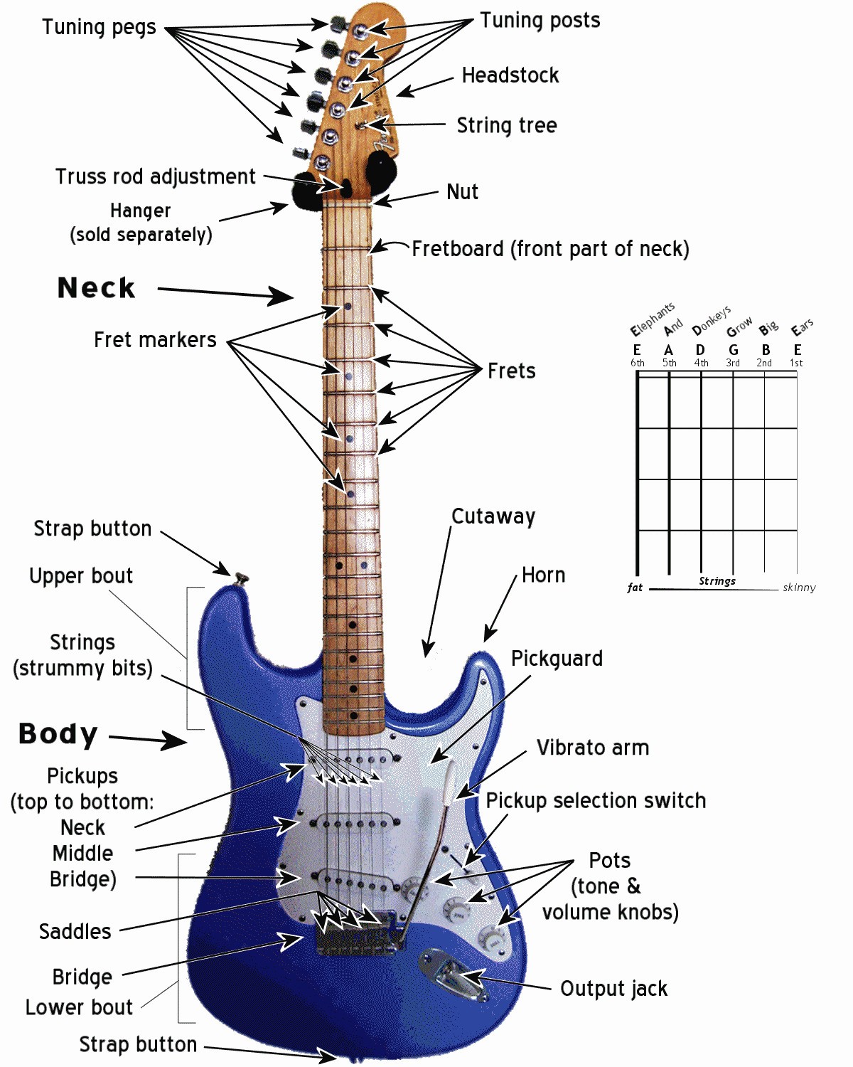 Fender Stratocaster Parts Diagram thetopguitars the top Guitars Bo S Necks and
