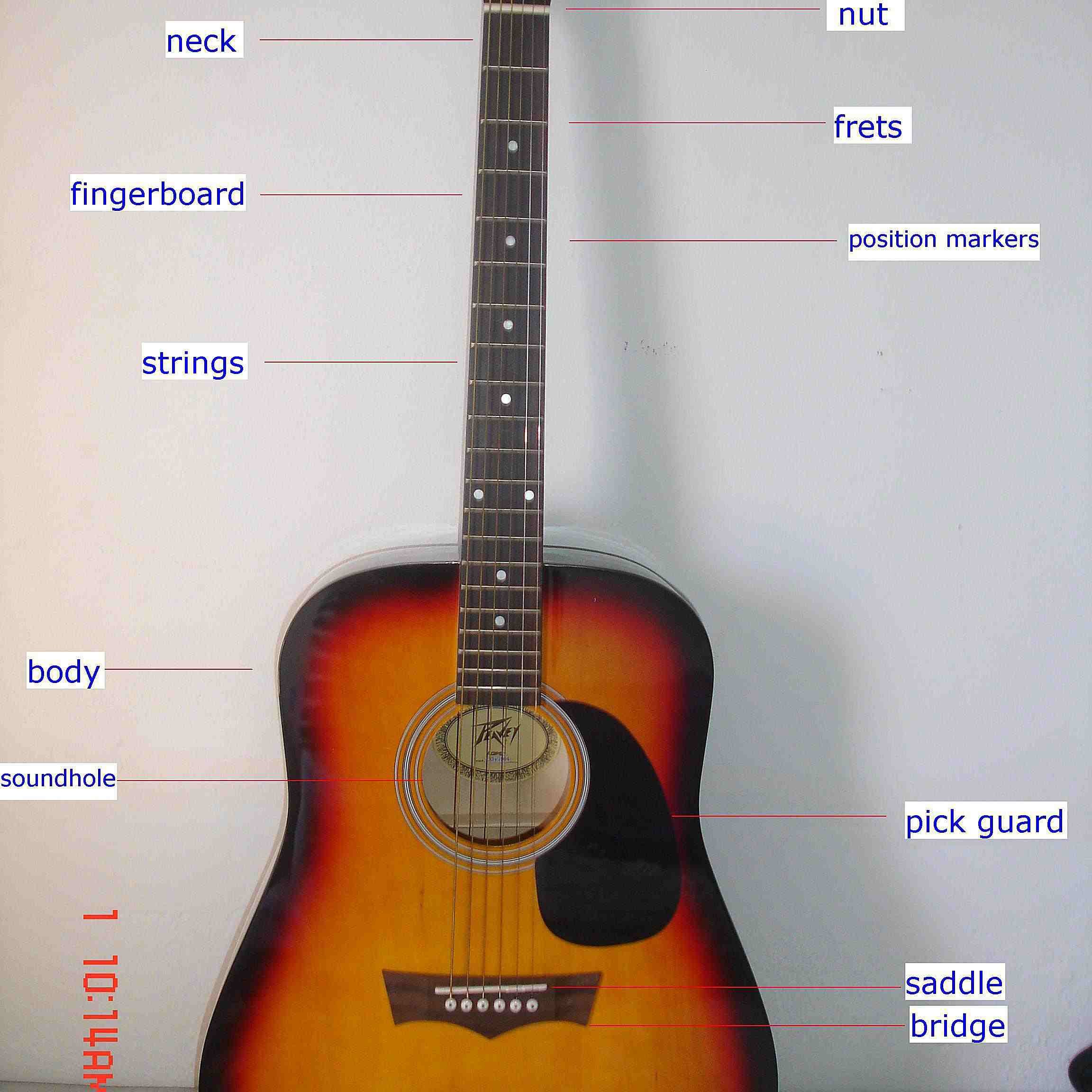 Parts of the Guitar
