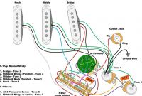 Http://intersx.tripa.co/fender-stratocaster-s1-switch-wiring-diagram.html Inspirational 920d Custom S5w Am Dlx American Deluxe Strat Style Wiring Harness W S