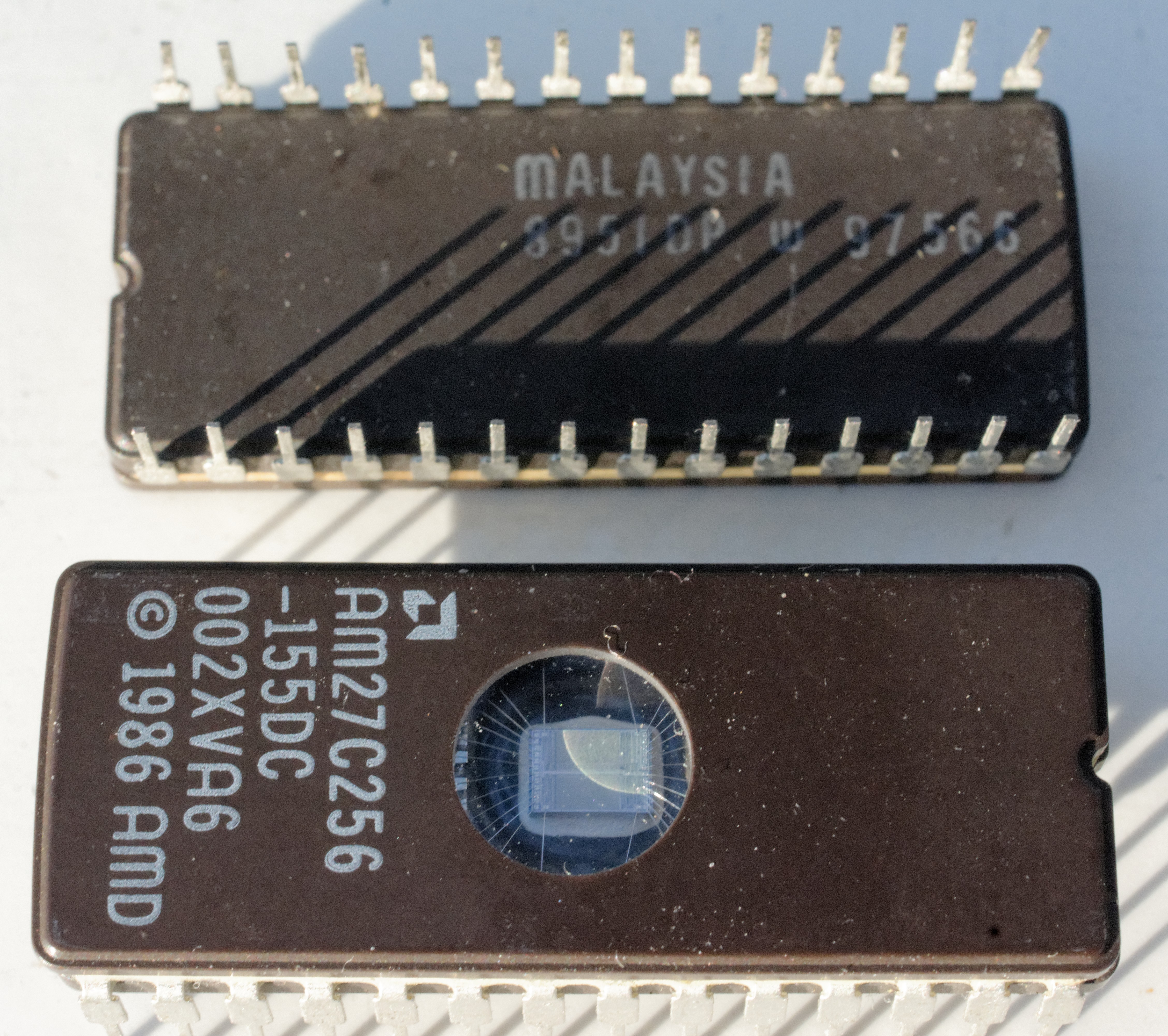 Pair of BIOS chips