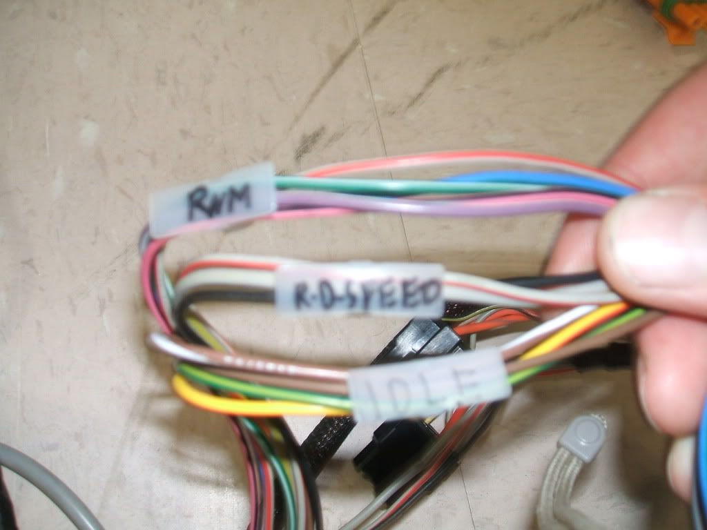 haltech e6x wiring qs pics
